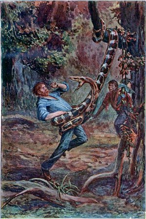 Заставка к роману Майн Рида «В дебрях Борнео». Издание 1870 г.