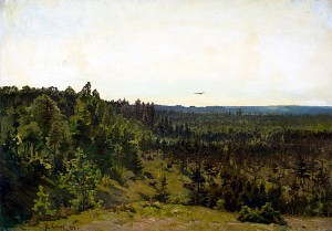 Мелколесье. Художник Клевер Юлий Юльевич, 1878