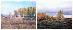 Открытка «Не бродить, не мять в кустах багряных...». Фото Ю. Кавера. На родине С. А. Есенина, 1985