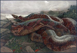 Питон Каа. Иллюстрация к рассказу Р. Киплинга «Охота питона Каа». Художники Эдвард Юлиус Детмольд и Чарльз Морис Детмольд, 1902
