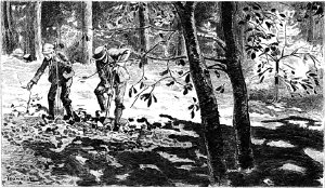 VIII. Удачный допрос. Заставка к главе романа Виктора Гюго «Отверженные». Издание 1890 г.