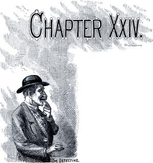 Приключения Тома Сойера. Глава XXIV. Детектив.