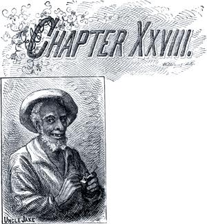 Приключения Тома Сойера. Глава XXVIII. Дядя Джэк.