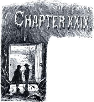 Приключения Тома Сойера. Глава XXIX. Пещера Мак-Дугаля.