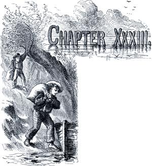 Приключения Тома Сойера. Глава XXXIII. Найденные сокровища.
