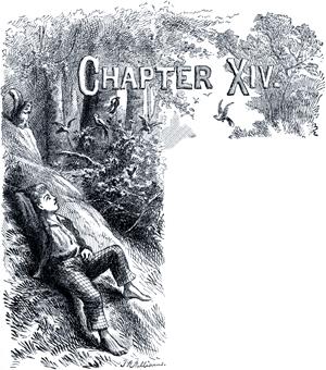Приключения Тома Сойера. Глава XIV. Дикая жизнь.