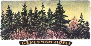 Барсучьи норы. Иллюстрация к рассказу М. Пришвина. Художник Е. Рачёв, 1983