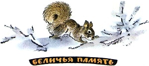 Сегодня, разглядывая на снегу следы зверушек и птиц, вот что я по этим следам прочитал: белка пробилась сквозь снег в мох... Иллюстрация к рассказу М. Пришвина «Беличья память». Художник Е. Рачёв, 1983