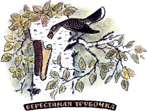Берестяная трубочка. Иллюстрация к рассказу М. Пришвина. Художник Е. Рачёв, 1983