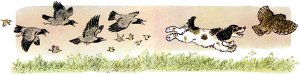 Все вороны поднялись с дерева, вслед за воронами все галки, сойки, иволги, дрозды, вертишейки, трясогузки, щеглы, синички гаички, московочки, — и все эти птицы помчались тёмной тучей за филином. Иллюстрация к рассказу М. Пришвина «Филин». Художник Е. Рачёв, 1983