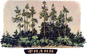 Филин. Иллюстрация к рассказу М. Пришвина. Художник Е. Рачёв, 1983