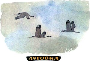 Летят по весне журавли... Иллюстрация к рассказу М. Пришвина «Луговка». Художник Е. Рачёв, 1983