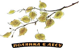 Полянка в лесу. Иллюстрация к рассказу М. Пришвина. Художник Е. Рачёв, 1983