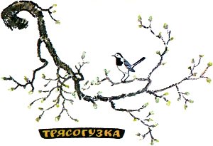 Трясогузка. Иллюстрация к рассказу М. Пришвина. Художник Е. Рачёв, 1983