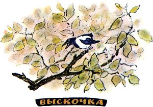 Выскочка. Иллюстрация к рассказу М. Пришвина. Художник Е. Рачёв, 1983