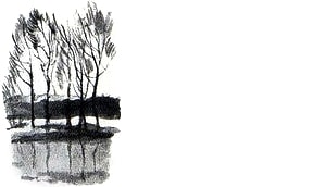 М. Пришвин. Земля показалась. Рис. Г. Никольского