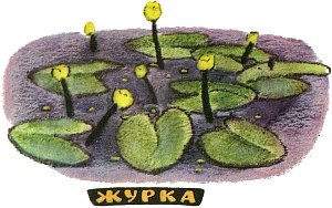 Журка. Иллюстрация к рассказу М. Пришвина. Художник Е. Рачёв, 1983