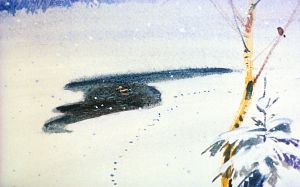 От большой полыньи оставалось всего одно окно в сажень величиной. Иллюстрация В. Дугина к рассказу Д. Н. Мамина-Сибиряка «Серая Шейка»