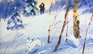 Старичок охотник прицелился из ружья, но зайцы его заметили и кинулись в лес, как сумасшедшие. Иллюстрация В. Дугина к рассказу Д. Н. Мамина-Сибиряка «Серая Шейка»
