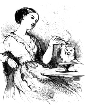 Полина вымазала в кофе мордочку котенка, присевшего на столе, куда его привлек запах молока; она забавлялась с ним, — то подносила к его носу сливки, то отставляла, чтобы подразнить его и затянуть игру... Иллюстрация к роману Оноре де Бальзака «Шагреневая кожа». Издание 1855 г.
