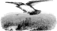 Собор Парижской Богоматери. Книга третья. II. Парнас с птичьего полета (концовка к главе). Издание 1844 г.
