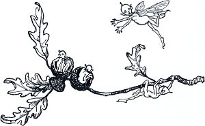 Они так злы, что эльфы поскорей спешат укрыться в чашках желудей. Иллюстрация Артура Рэкема (1908) к комедии Уильяма Шекспира «Сон в летнюю ночь» (1595/96)