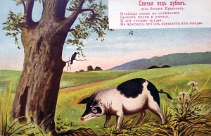 Свинья под Дубом (из басен Крылова). Невежда также в ослепленье бранит науки и ученье, и все ученые труды, не чувствуя, что он вкушает их плоды. Открытка, начало ХХ в.