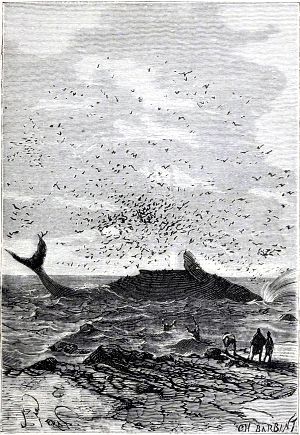 — Какое чудовище! — вскричал Наб. Иллюстрация к роману Жюля Верна «Таинственный остров». Художник Жюль-Декарт Фера, 1874-1875 гг.