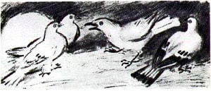 Иллюстрация К. Рудакова к басне Толстого «Галка и голуби» (1937 г.)