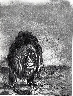 Иллюстрация К. Рудакова к басне Л. Толстого «Комар и лев» (1937 г.)