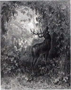 Иллюстрация к басне «Олень и виноградник». Художник Гюстав Доре (1832-1883)