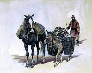 Осёл и лошадь. Иллюстрация к басне Л. Н. Толстого. Ращектаев Никифор Андреевич, 1970-е