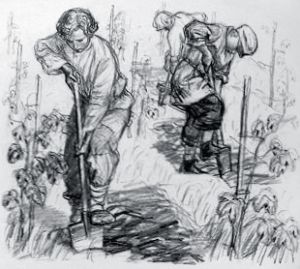 Иллюстрация А. Ф. Пахомова к басне Л. Н. Толстого «Садовник и сыновья»