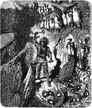 Тяжкий труд. Иллюстрация к роману Виктора Гюго «Труженики моря». Художник Даниэль Вьерхе. Издание 1882 г.