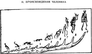 II. ПРОИСХОЖДЕНИЕ ЧЕЛОВЕКА. Иллюстрация к роману Герберта Уэллса «Необходима осторожность»
