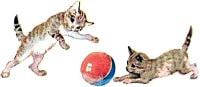 Котичек-коток — серенький лобок... Иллюстрация к рассказу К. Д. Ушинского «Васька». Художник Лаптев Алексей Михайлович, 1953
