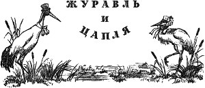 Журавль и цапля. Иллюстрация к сказке К. Д. Ушинского. Художник Н. Петрова, 1959