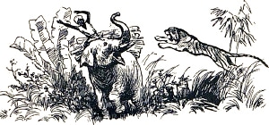 Как слон спас хозяина от тигра. Художник Н. Петрова, 1948